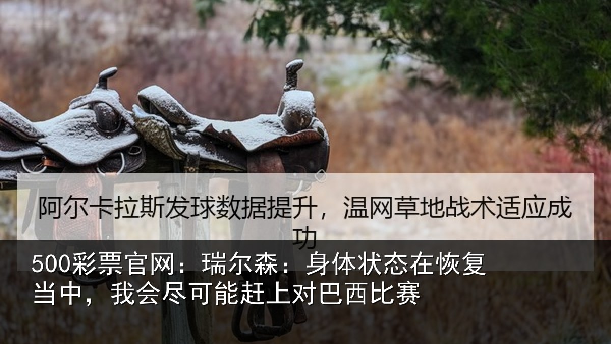 500彩票官网:瑞尔相关情况当中相关情况巴西比赛