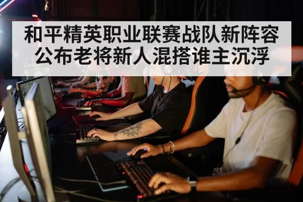 和平精英职业联赛战队新阵容公布老将新人混搭谁主沉浮